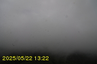 Img20250522_132200.jpg