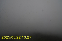 Img20250522_132700.jpg