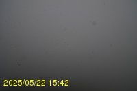Img20250522_154200.jpg