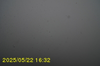Img20250522_163201.jpg