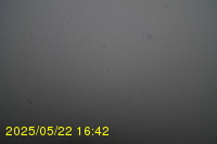 Img20250522_164201.jpg