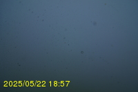 Img20250522_185701.jpg