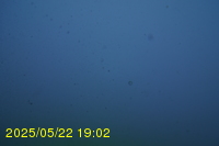 Img20250522_190201.jpg