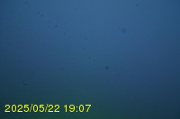 Img20250522_190701.jpg
