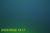 Img20250522_191701.jpg