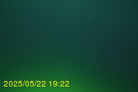 Img20250522_192201.jpg