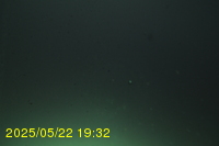 Img20250522_193201.jpg
