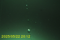Img20250522_201201.jpg