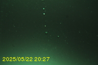 Img20250522_202701.jpg