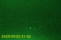 Img20250522_210201.jpg