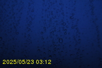 Img20250523_031202.jpg