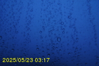 Img20250523_031702.jpg