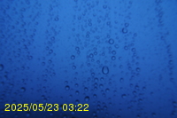 Img20250523_032202.jpg