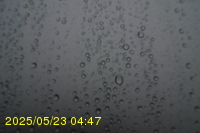 Img20250523_044703.jpg