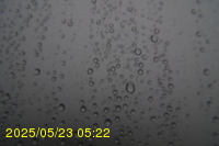 Img20250523_052203.jpg