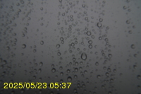 Img20250523_053703.jpg