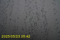 Img20250523_054203.jpg