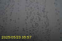 Img20250523_055703.jpg