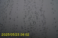 Img20250523_060203.jpg