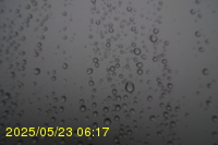 Img20250523_061703.jpg