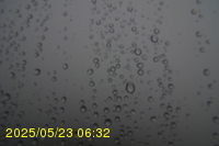 Img20250523_063203.jpg