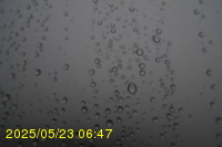 Img20250523_064703.jpg