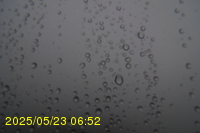 Img20250523_065203.jpg