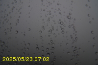 Img20250523_070203.jpg