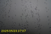 Img20250523_070703.jpg