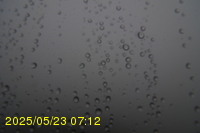 Img20250523_071203.jpg