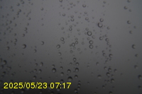 Img20250523_071703.jpg
