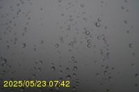 Img20250523_074203.jpg