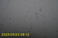 Img20250523_081203.jpg
