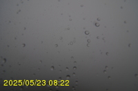 Img20250523_082203.jpg