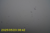 Img20250523_084203.jpg