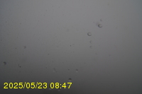 Img20250523_084703.jpg