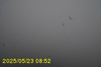 Img20250523_085203.jpg