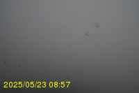 Img20250523_085703.jpg
