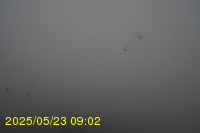 Img20250523_090203.jpg