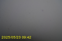 Img20250523_094203.jpg