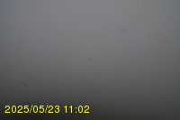 Img20250523_110204.jpg