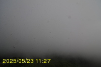 Img20250523_112704.jpg