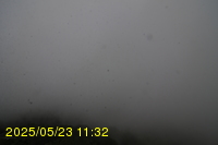 Img20250523_113204.jpg