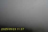 Img20250523_113704.jpg