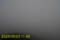 Img20250523_114204.jpg