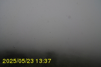 Img20250523_133704.jpg