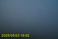 Img20250523_190205.jpg