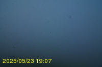 Img20250523_190705.jpg