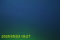 Img20250523_192705.jpg