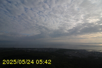 Img20250524_054207.jpg